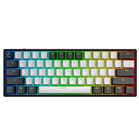 Valkyrie Leaven K710 Blue Switch Mekanik Gaming Oyun Klavyesi RGB 61 Key Mavi Tuş Type-C Klavye Siyah-Beyaz