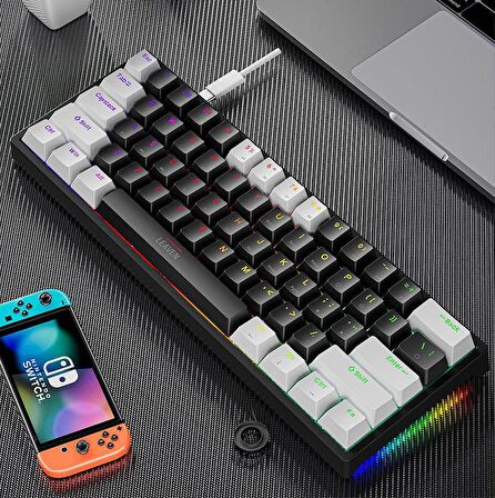 Valkyrie Leaven K620 Blue Switch Mekanik Gaming Oyun Klavyesi RGB 61 Key Mavi Tuş Type-C Klavye Beyaz-Siyah