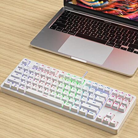 Valkyrie Leaven K870 Blue Switch Mekanik Gaming Oyun Klavyesi RGB 61 Key Mavi Tuş Type-C Klavye BEYAZ