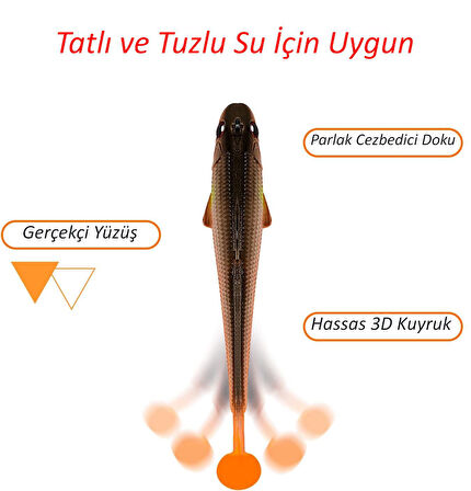 Valkyrie 5 Adet 9cm 12gr Yumuşak Silikon 3D Balık Sahte Olta Yem Seti Wobbler Levrek Yemi