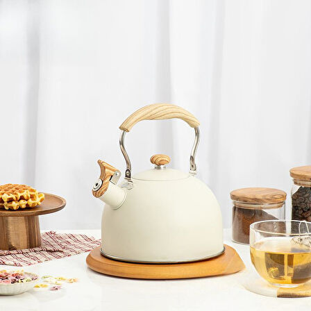 Valkyrie 2.5L Paslanmaz Çelik Düdüklü Su Isıtıcısı Demlik Islıklı Kettle