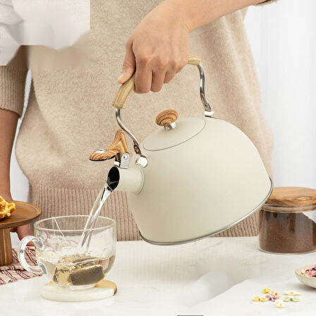 Valkyrie 2.5L Paslanmaz Çelik Düdüklü Su Isıtıcısı Demlik Islıklı Kettle