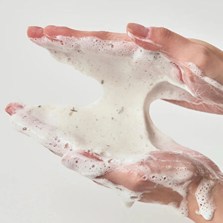 Anua - Heartleaf Quercetinol Pore Deep