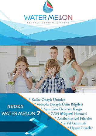 Kapalı Kasa 12 İnc Su Arıtma Cihazına Uyumlu İnline 1 Numara Sediment Filtre