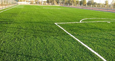 ÇİM TOHUMU 4S ANATOLIA 10 KG ECOPLANET 