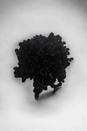 Kadın Siyah Topuz Toka.