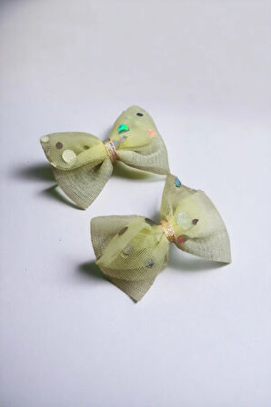 Çocuk 2 Adet Fiyonk Model Pens Toka