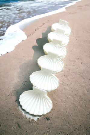 Deniz Kabuğu Model 6 Adet Büyük Boy 7 Cm Mandal Toka