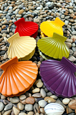 Deniz Kabuğu Model 6 Adet Büyük Boy 7 Cm Mandal Toka