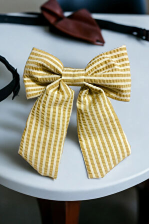 Kadın Çizgili Fiyonk Otomatik Toka