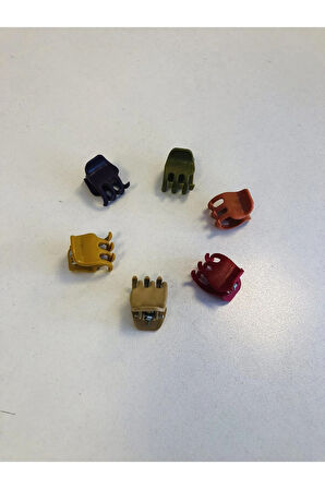 Kadın Ve Çocuk Minik ( 2 Cm ) Mandal Toka Seti