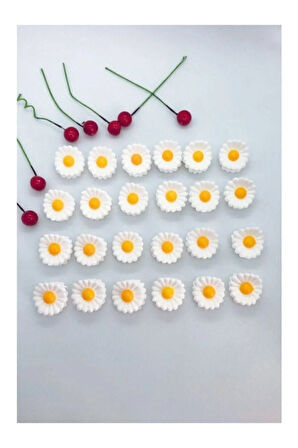 24 Adet Minik Papatya Mandal Toka