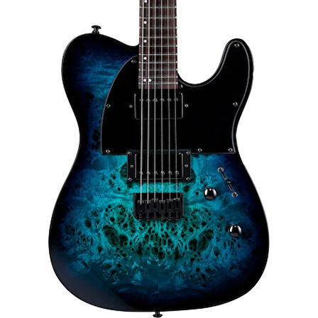 ESP LTD TE-200DX Blue Burst Elektro Gitar