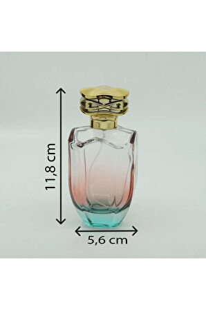 PARFÜM ŞİŞESİ 100 ML 2 ADET ÇİFT RENKLİ OVAL MODEL