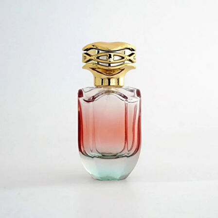 BOŞ PARFÜM ŞİŞESİ 50 ML GÜL DESENLİ (10 ADET) (SPREY APARAT İLE KAPATILIR-KOLAY KAPAMA) BOŞ ŞİŞE