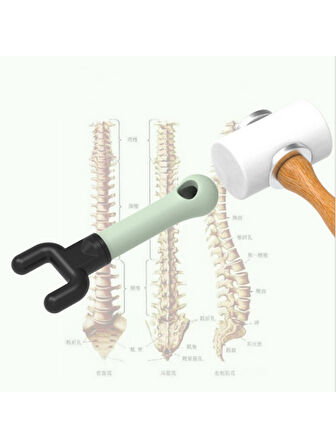 Spinal Rehabilitasyon Kayropraktik Masaj Seti