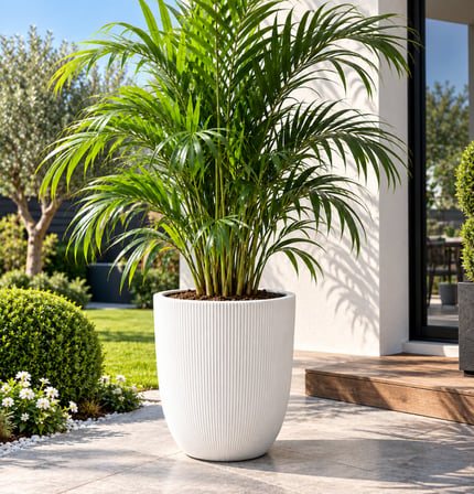 Omnipazar SO-PALM3 Palmiye Dekoratif Plastik Saksı İç Kovalı 30 LT NO: 3