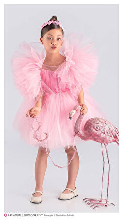 Kol Kabartmalı Kız Çocuk Abiye Elbise ve Taç - 3/10 Yaş - 31537