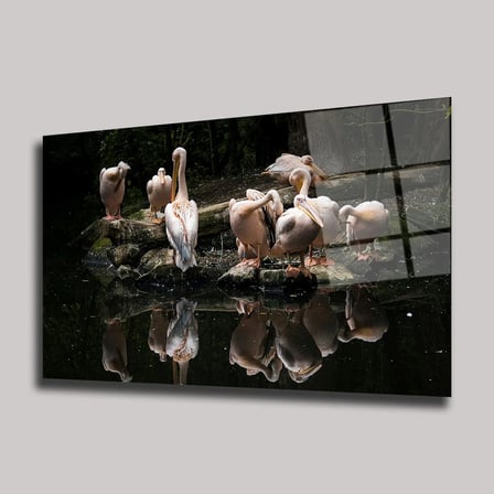 Göldeki Pelikanlar Cam Tablo 35x50 cm