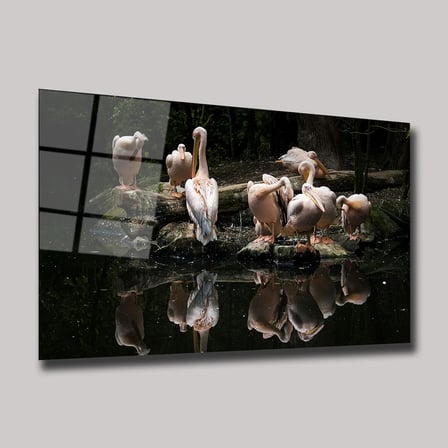 Göldeki Pelikanlar Cam Tablo 35x50 cm
