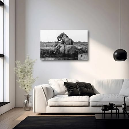 Siyah Beyaz Filler Cam Tablo 35x50 cm