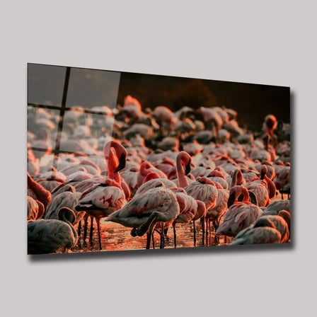Pembe Flamingo Sürüsü ve Gün Batımı Cam Tablo 35x50 cm