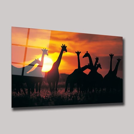 Afrika Gün Batımı ve Zürafa Sürüsü Cam Tablo 35x50 cm