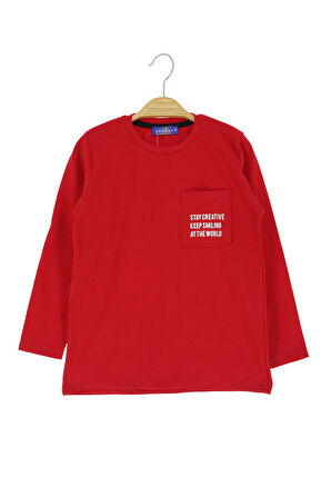 Erkek Çocuk Sweatshirt