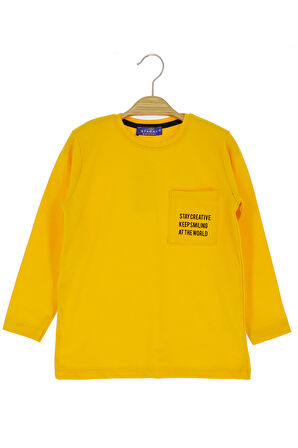 Erkek Çocuk Sweatshirt