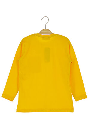 Erkek Çocuk Sweatshirt