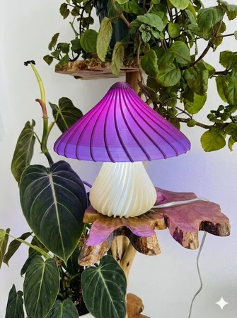 Dekoratif Mantar Lamba - Modern Masaüstü Aksesuarı Minimalist Seçenek: Minimalist Bükümlü Mantar Obje - Gece Lambası ve Dekoratif Figür