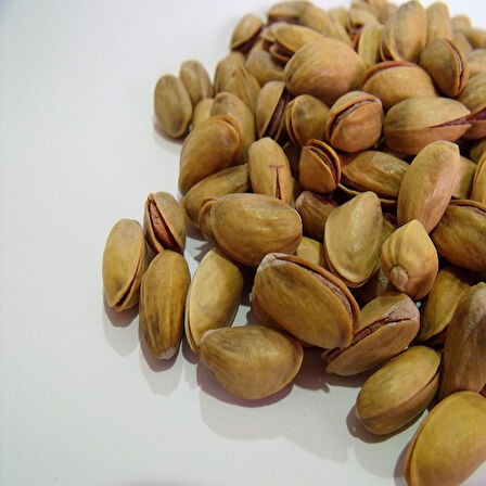 Antep Fıstığı Naturel  Eko 1 kg