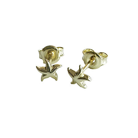 Masaliko Nu 7 Yıldız Gümüş Küpe Ms3206, 925 Ayar Gümüş, İthal Ürün