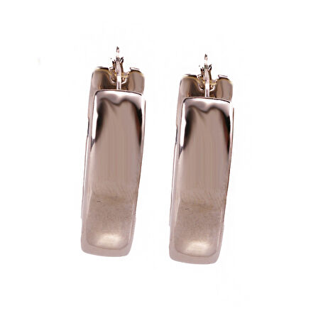 Masaliko Lui S 3 Kalp Şarnel Gümüş Küpe Ms3721, 925 Ayar Kadın Gümüş Küpe, İthal Ürün, Altın Kaplama