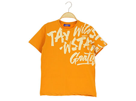 Erkek Çocuk T-Shirt Baskılı