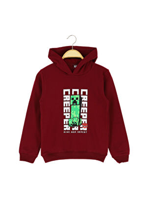 Erkek Çocuk Sweat Baskılı Şardonlu