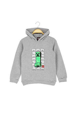 Erkek Çocuk Sweat Baskılı Şardonlu