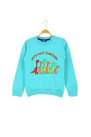 Erkek Çocuk Bluz Baskılı Şardonlu