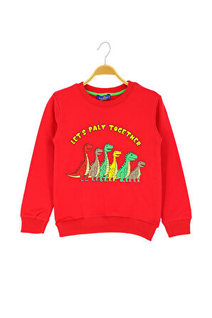 Erkek Çocuk Bluz Baskılı Şardonlu