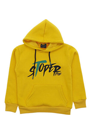 Erkek Çocuk Sweatshirt Kapüşonlu Baskılı 3 İplik Şardonlu