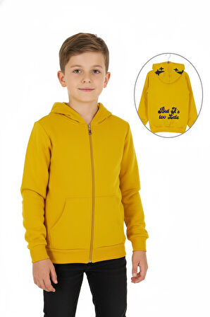 Erkek çocuk hırka 2 iplik şardonlu arkası baskılı