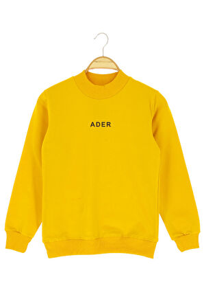 Erkek çocuk sweatshirt 2 iplik şardonlu baskılı