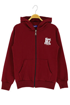 Erkek çocuk hırka 2 iplik şordonlu baskılı kapüşonlu