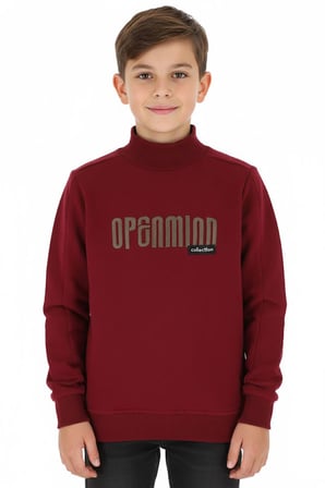 Erkek Çocuk Sweatshirt Baskılı Kışlık Şardonlu