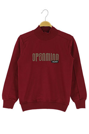 Erkek Çocuk Sweatshirt Baskılı Kışlık Şardonlu