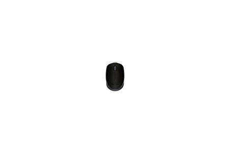 ONTECH - Logıtech M171 Kablosuz Usb Mouse Siyah 910-004424
