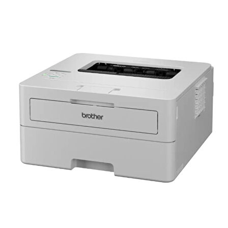 ONTECH - Brother Hl-b2181dw Mono Lazer Yazıcı/dub/eth/wıfı