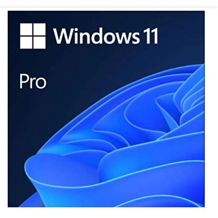 ONTECH - Ms Wındows 11 Pro 32/64 Bıt Tr Kutu Usb Hav-00159