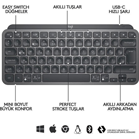 ONTECH - Logıtech Mx Keys Mını Q Tr Klavye Siyah 920-010504