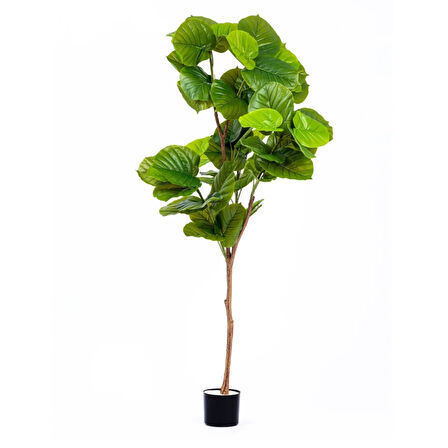 Reyo Ficus Umbellata Yapay Ağaç Gerçek Dokulu Yeşil 180 cm